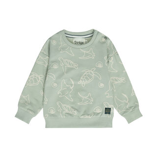 Dirkje Sweater Soft Sage