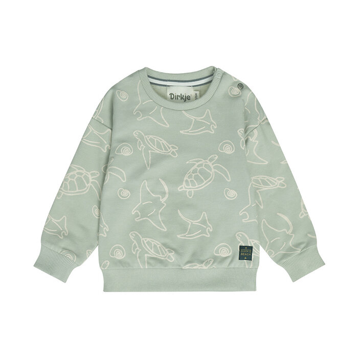Dirkje Sweater Soft Sage