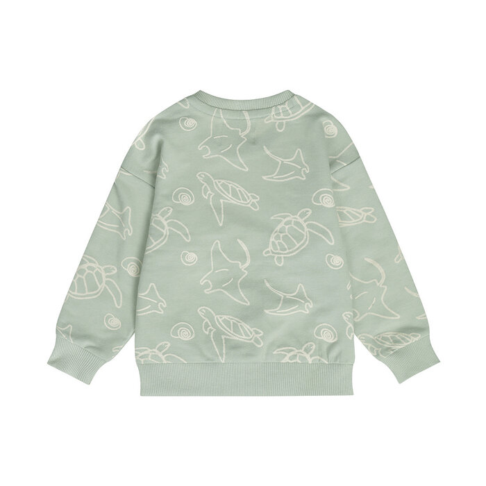 Dirkje Sweater Soft Sage
