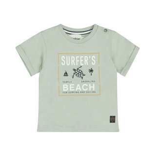 Dirkje T-shirt Soft Sage