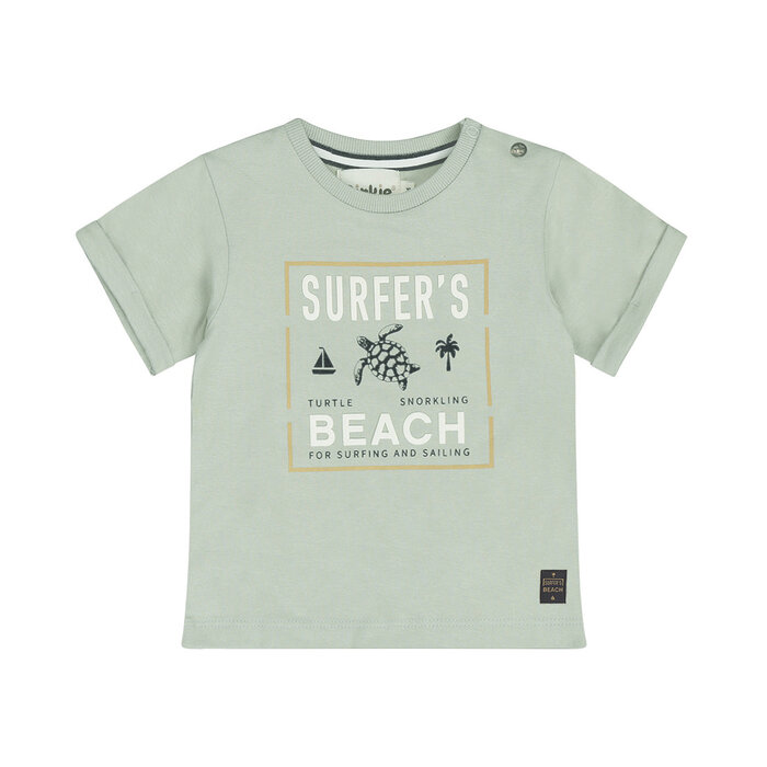 Dirkje T-shirt Soft Sage