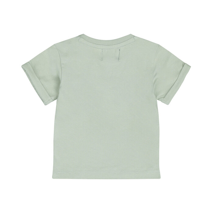 Dirkje T-shirt Soft Sage