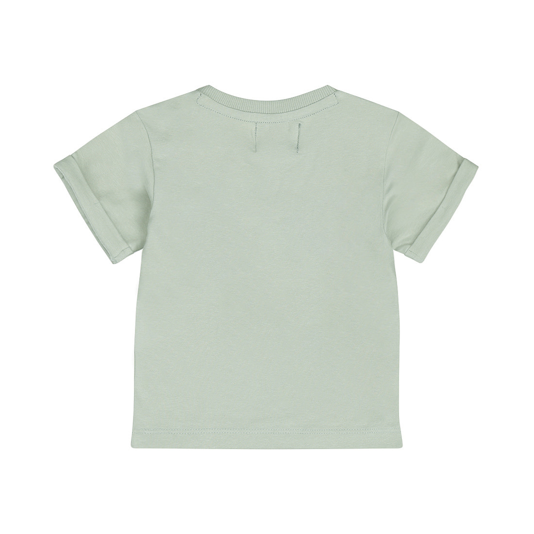 Dirkje T-shirt Soft Sage