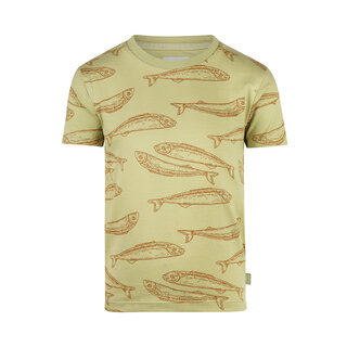 Koko Noko T-shirt Faded green