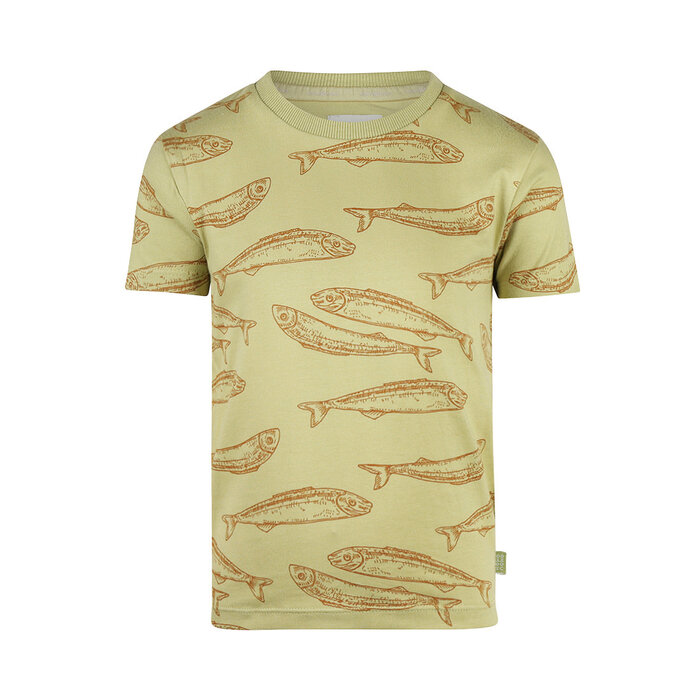 Koko Noko T-shirt Faded green