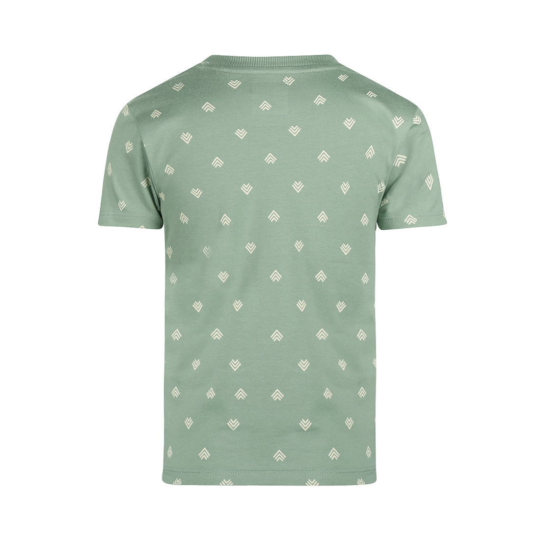Koko Noko T-shirt Sage