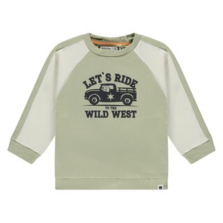Babyface baby boys sweatshirt Sage
