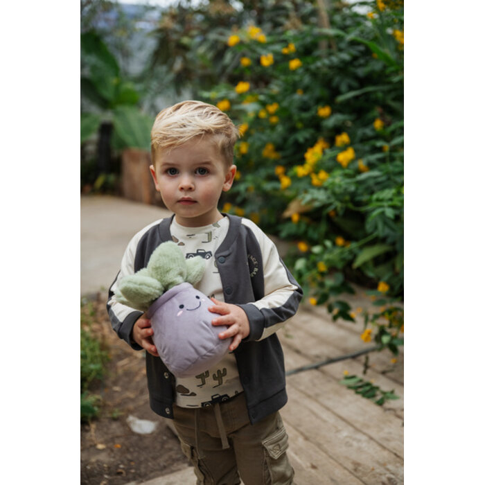 Babyface baby boys sweat cardigan Antra