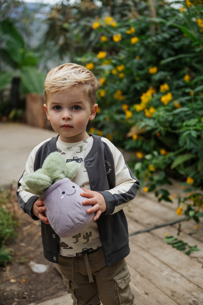 Babyface baby boys sweat cardigan Antra