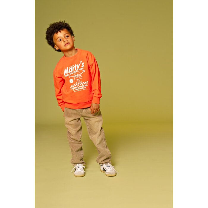 Stains & Stories boys sweatshirt Grapefruit