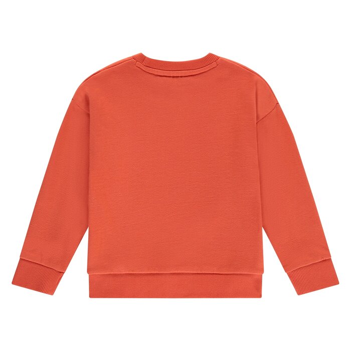 Stains & Stories boys sweatshirt Grapefruit