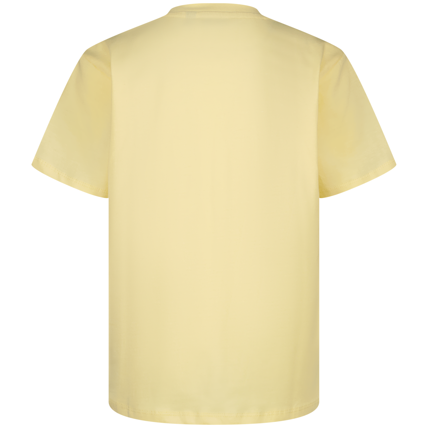 Raizzed Tarla Anise flower