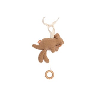 Jollein Muziekhanger Kangaroots