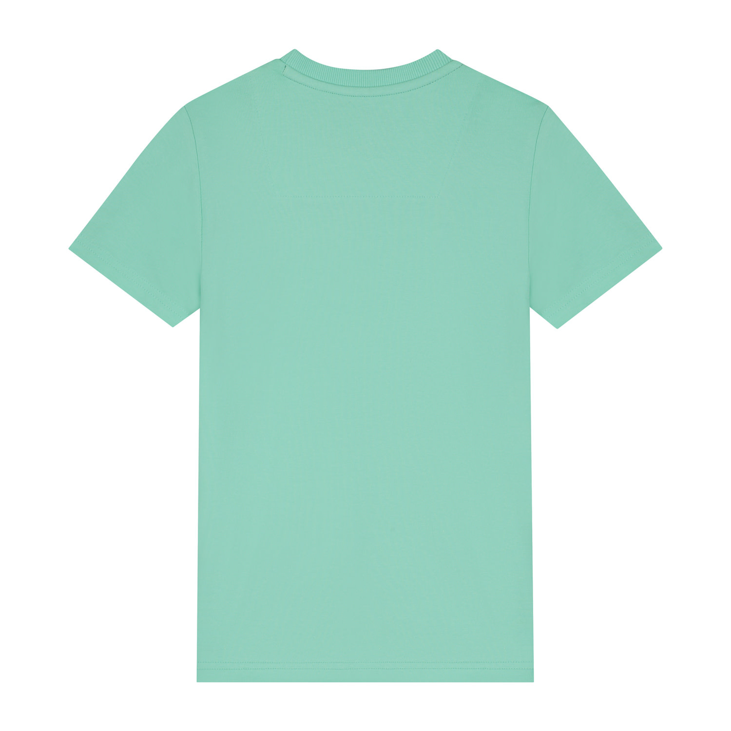 Skurk T-shirt Tasic Mint