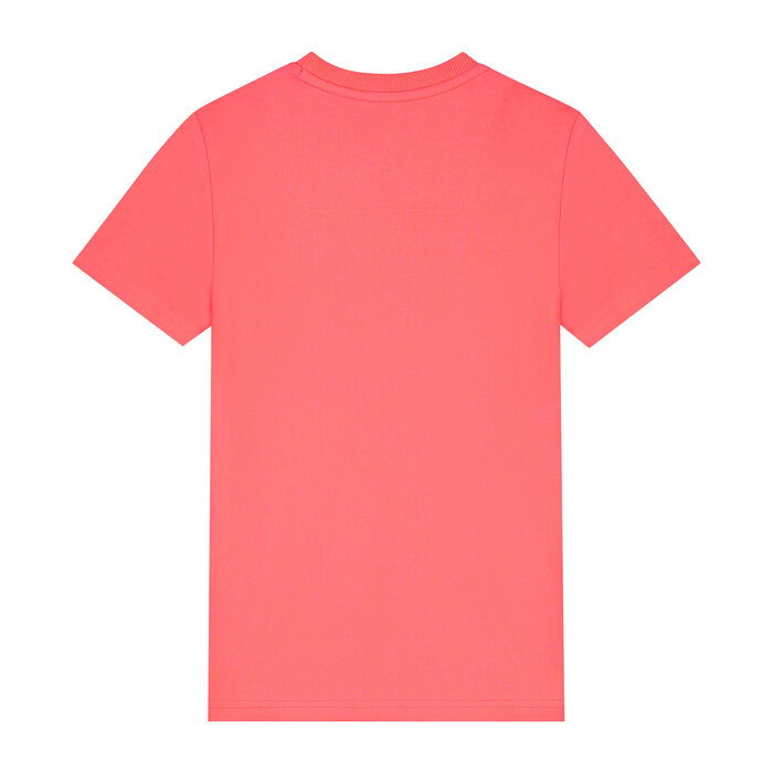 Skurk T-shirt Tasic Raspberry