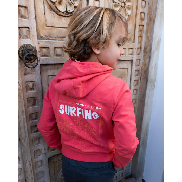 Skurk Hoodie Saav Raspberry