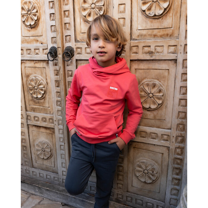 Skurk Hoodie Saav Raspberry