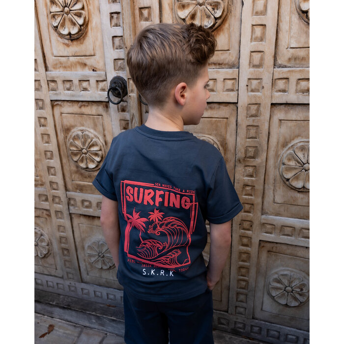 Skurk T-shirt Taks grey