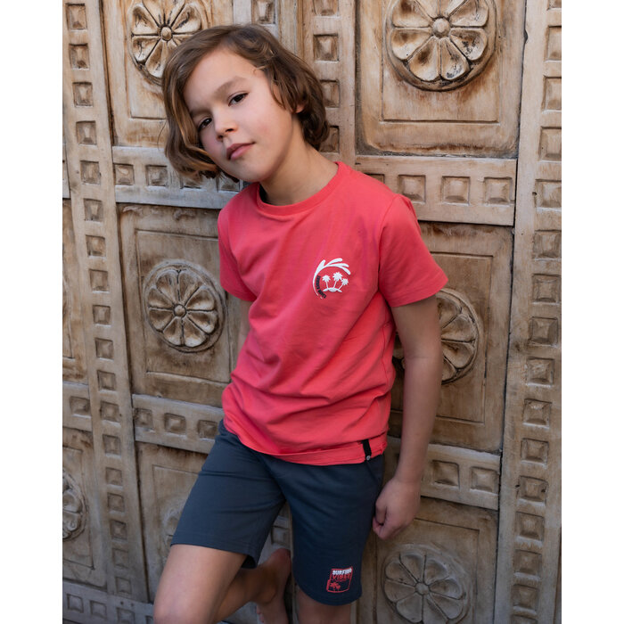 Skurk T-shirt Tan Raspberry