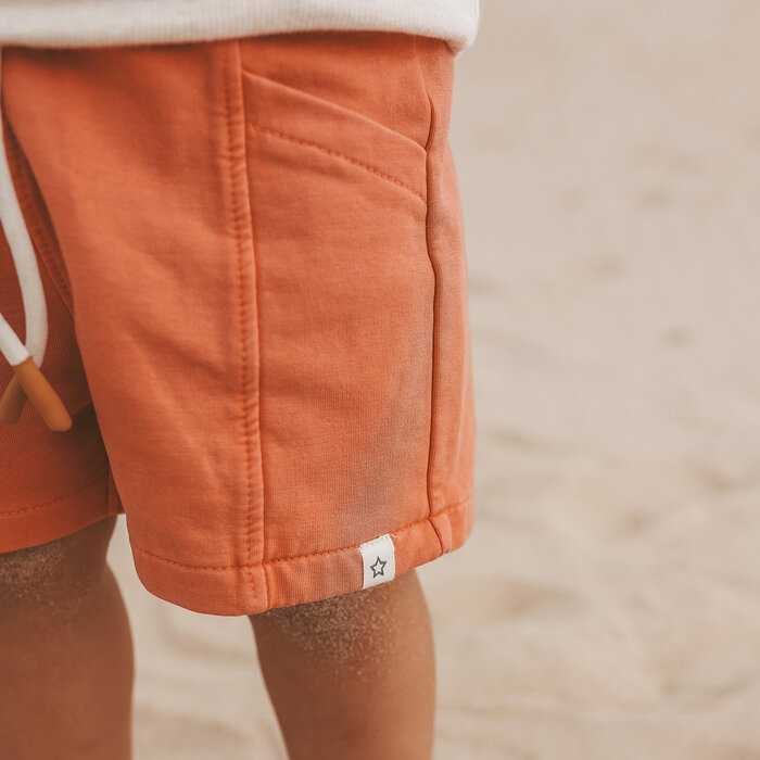 Your Wishes Garment Dye | Relaxed Shorts Ginger