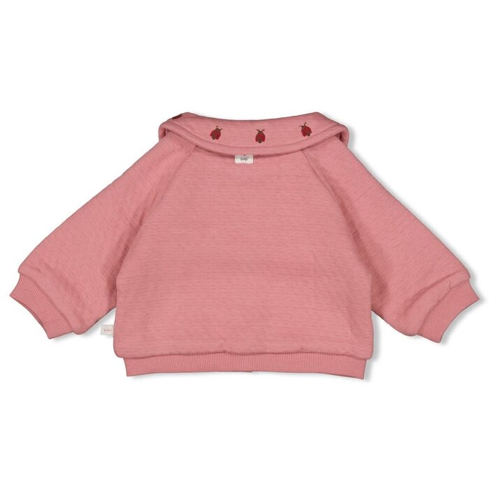 Feetje Jasje Roze - Ladybug