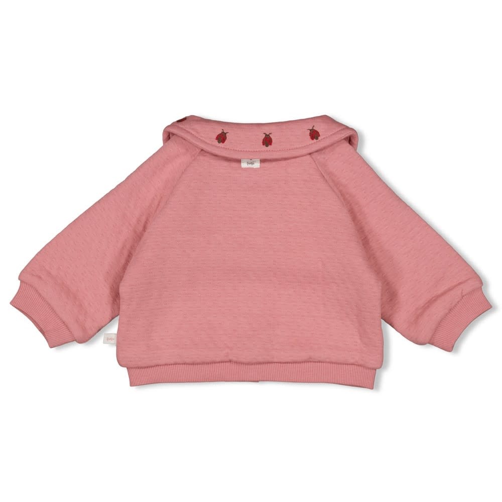 Feetje Jasje Roze - Ladybug