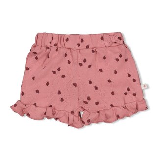 Feetje Short ajour rib AOP Roze - Ladybug