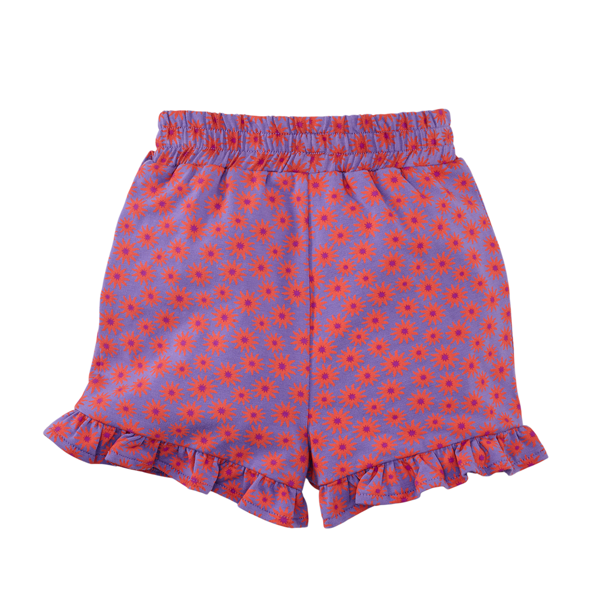 Z8 Riva Pretty purple