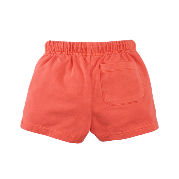 Z8 Tony Sizzling orange