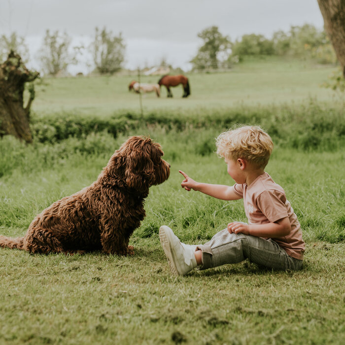Koko Noko Trousers, regular Sand N58814-37