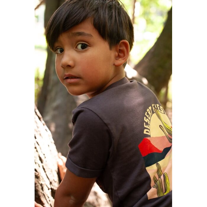Sturdy T-shirt d.Bruin - Desert Fiesta