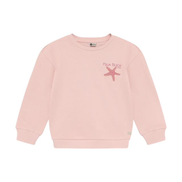 Daily7 Sweater Backprint Silver Pink