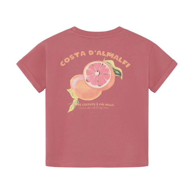 Daily7 T-shirt Backprint Heather Rose