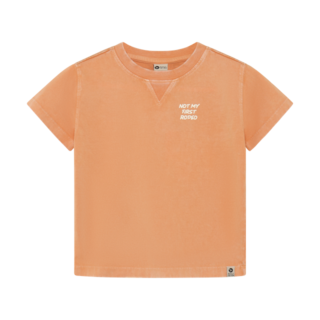 Daily7 T-shirt Backprint Sandstone