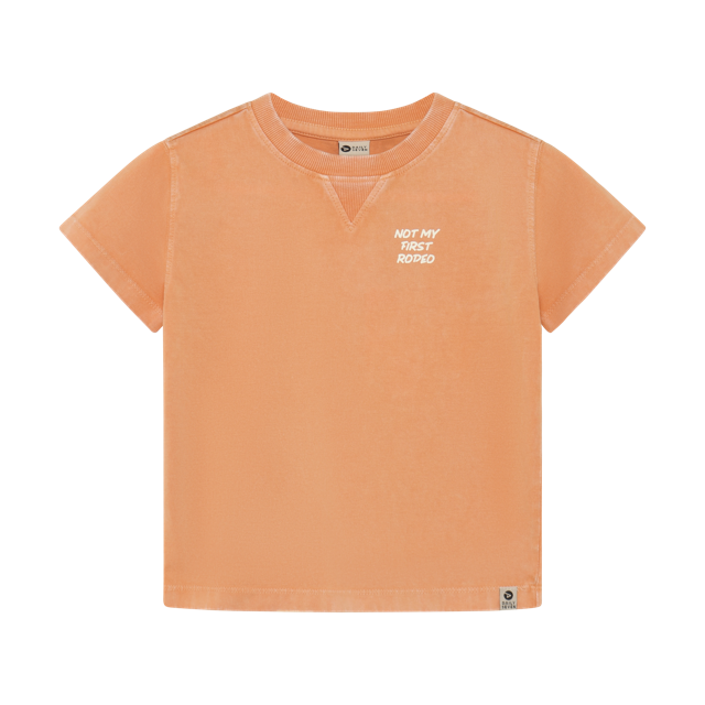 Daily7 T-shirt Backprint Sandstone