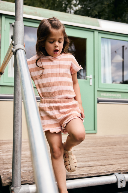 Daily7 T-shirt Fancy Stripe Silver Pink