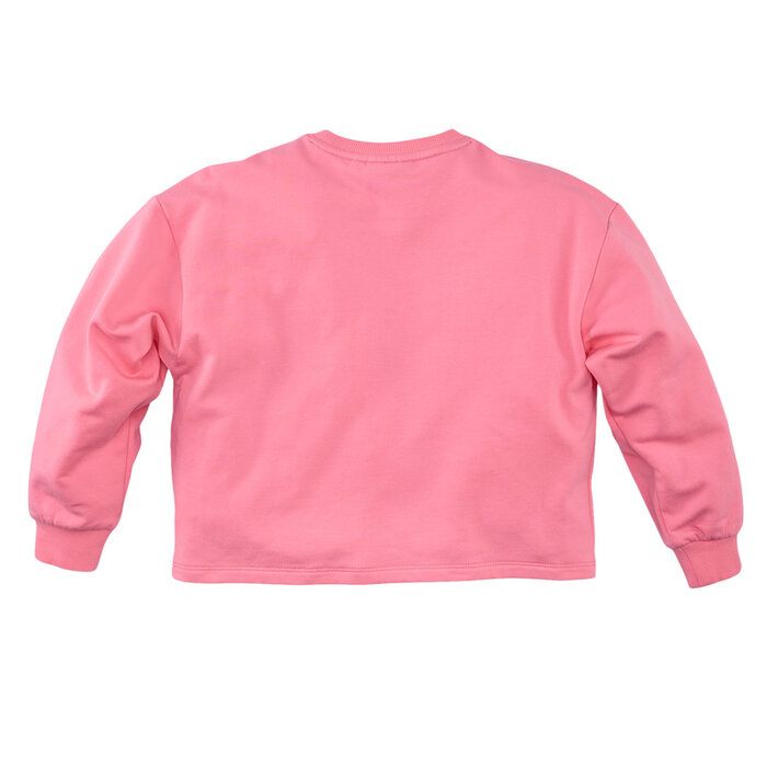 Z8 Pola Summer punch