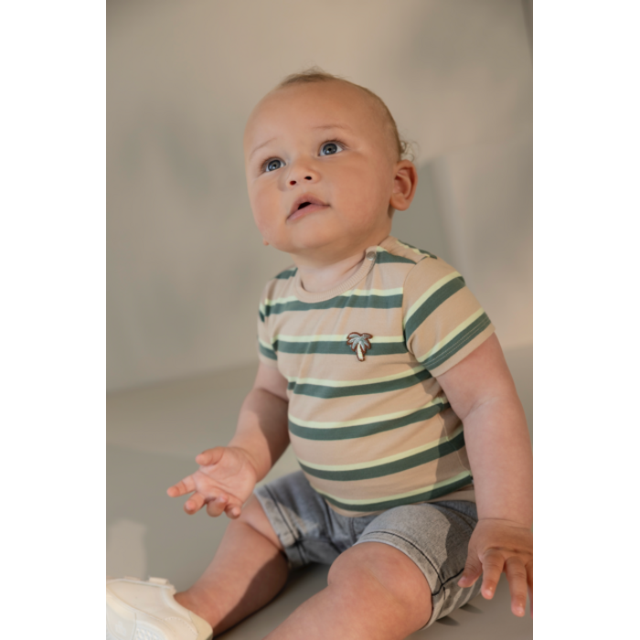 Noppies Tee SS stripe Irish Cream