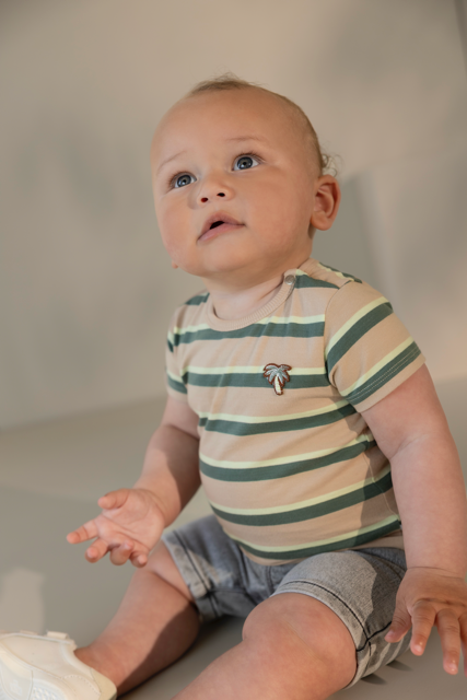 Noppies Tee SS stripe Irish Cream