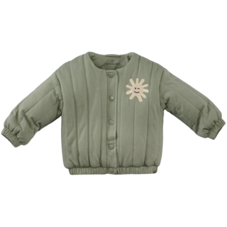 Z8 Freek Silver sage