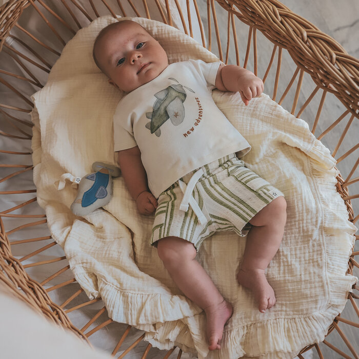 Your Wishes Line | Pocket Shorts Multicolor