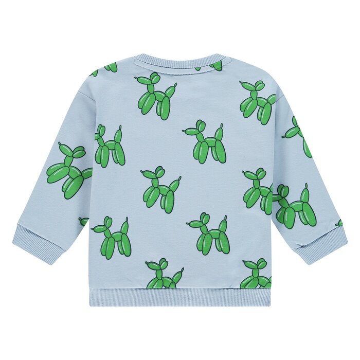 Babyface baby boys sweatshirt River