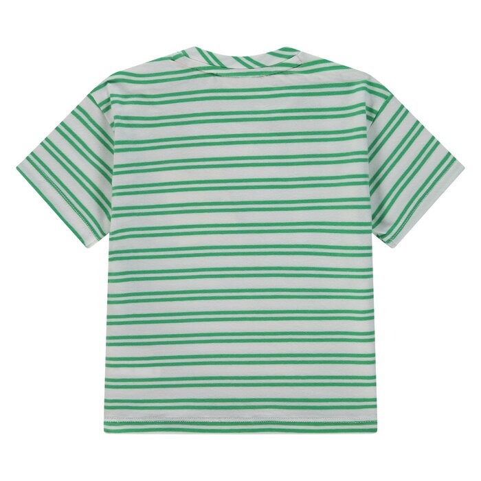 Babyface baby boys t-shirt short sleeve wide fit Frog