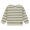 boys sweatshirt Grass