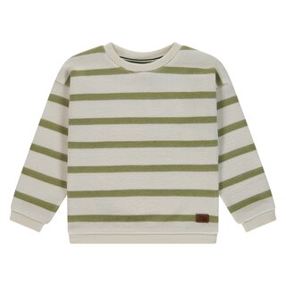 Stains & Stories boys sweatshirt Grass