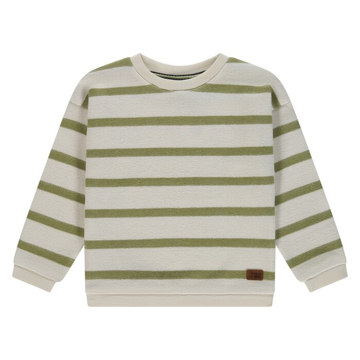 Stains & Stories boys sweatshirt Grass