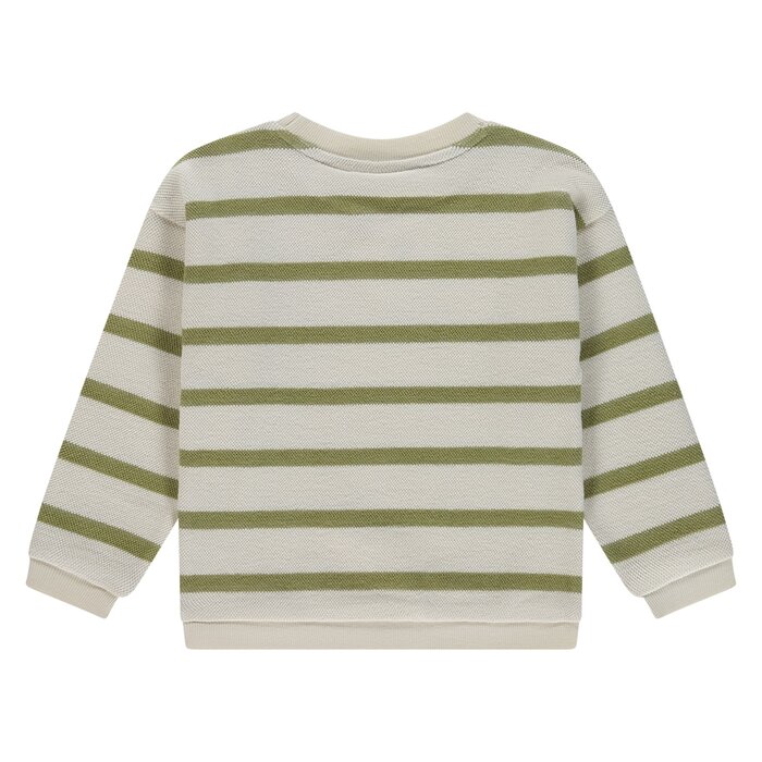Stains & Stories boys sweatshirt Grass