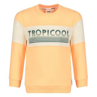 Sturdy Sweater Neon Oranje - Lagoon Legends