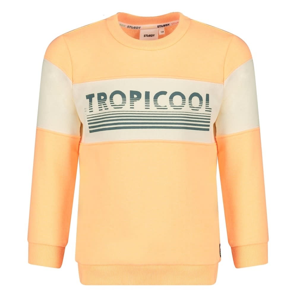 Sturdy Sweater Neon Oranje - Lagoon Legends