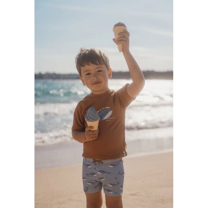 Little Dutch Zwem broek Ocean Splash